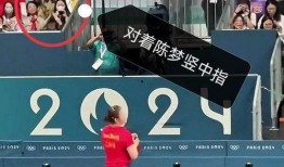 体育圈粉丝,激情燃烧的岁月，热血沸腾的追随